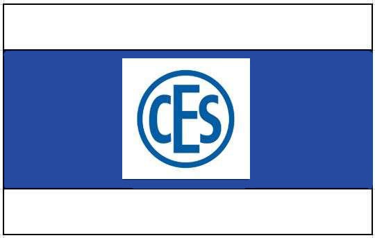 Logo von CES – Schlösser